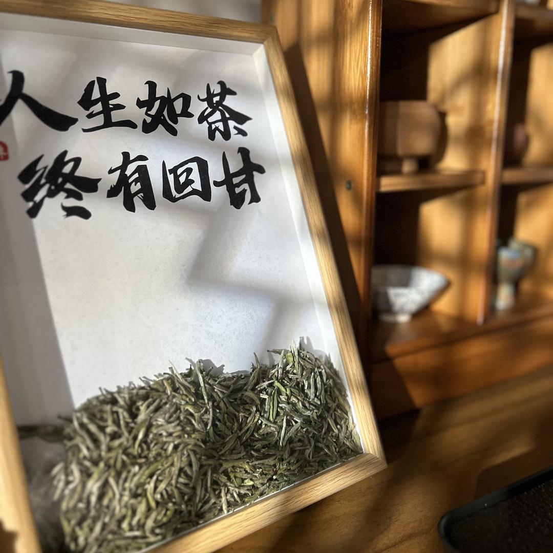 小宝茶行