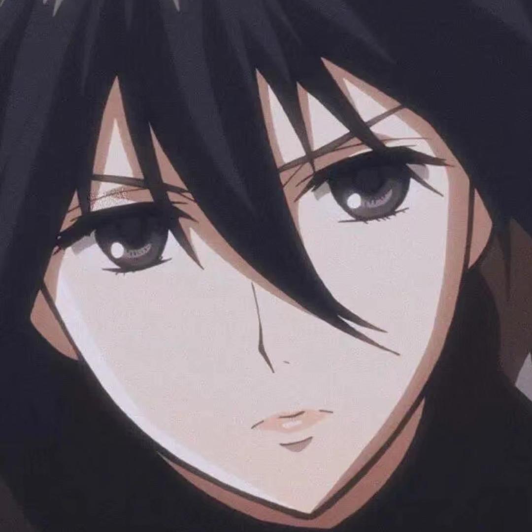 Mikasa（流氓版）