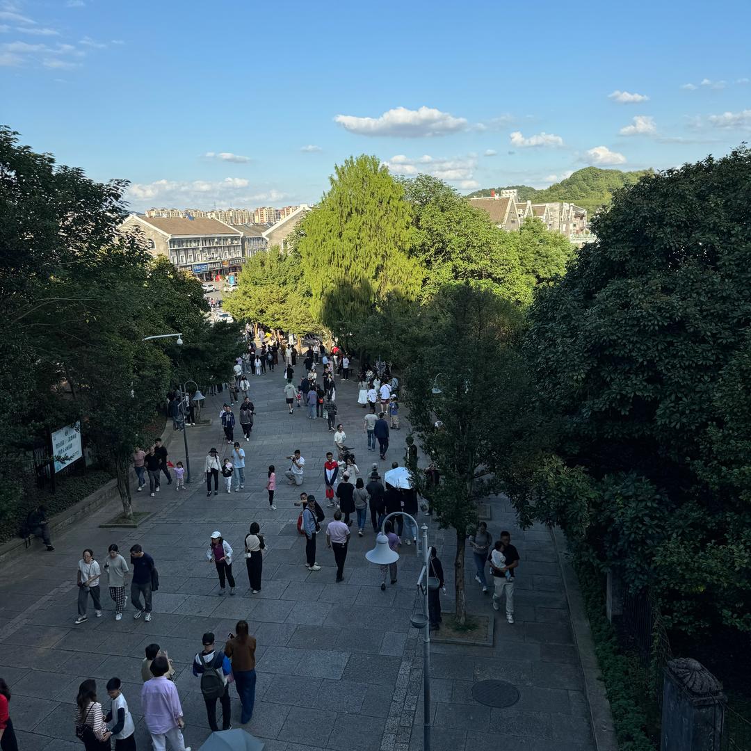 静心live