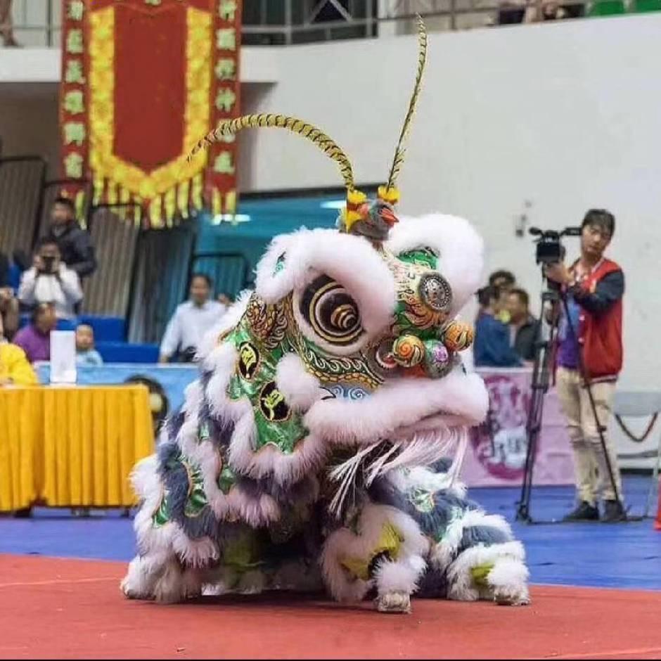 湛江市弘艺醒狮文化传媒