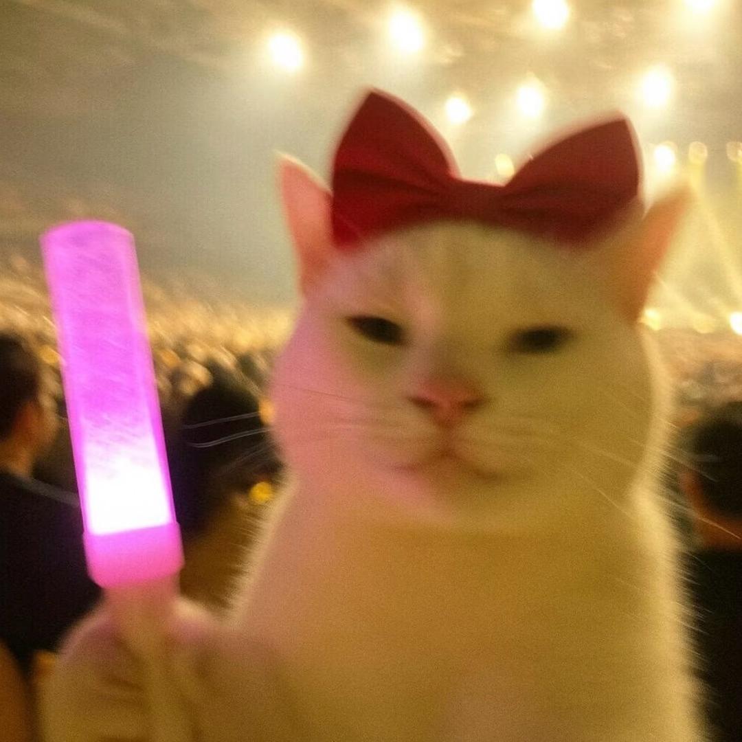 Y黄了弘几Y（见过黄蒲齐版）