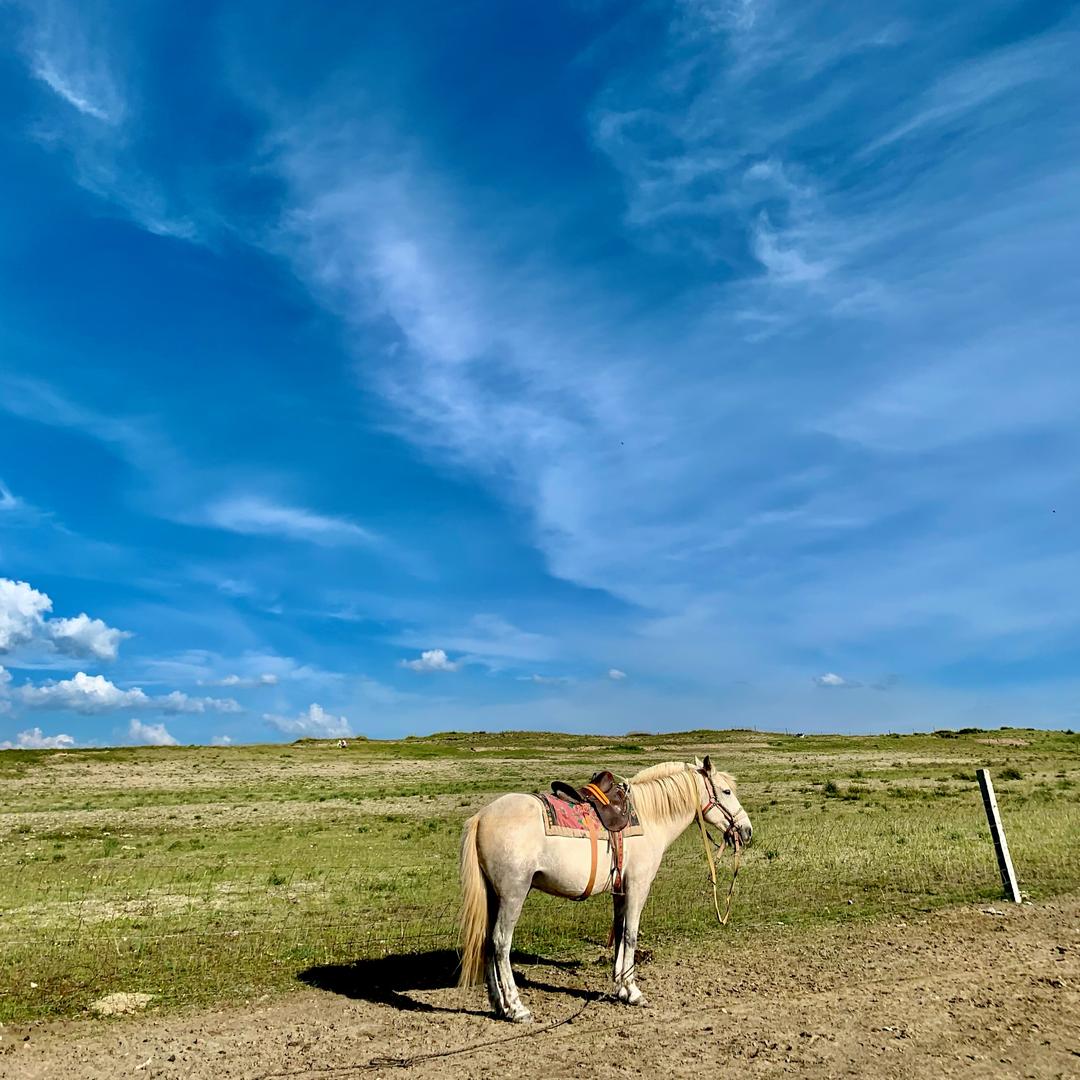 隔壁王奶奶🙉🙈🙊📷