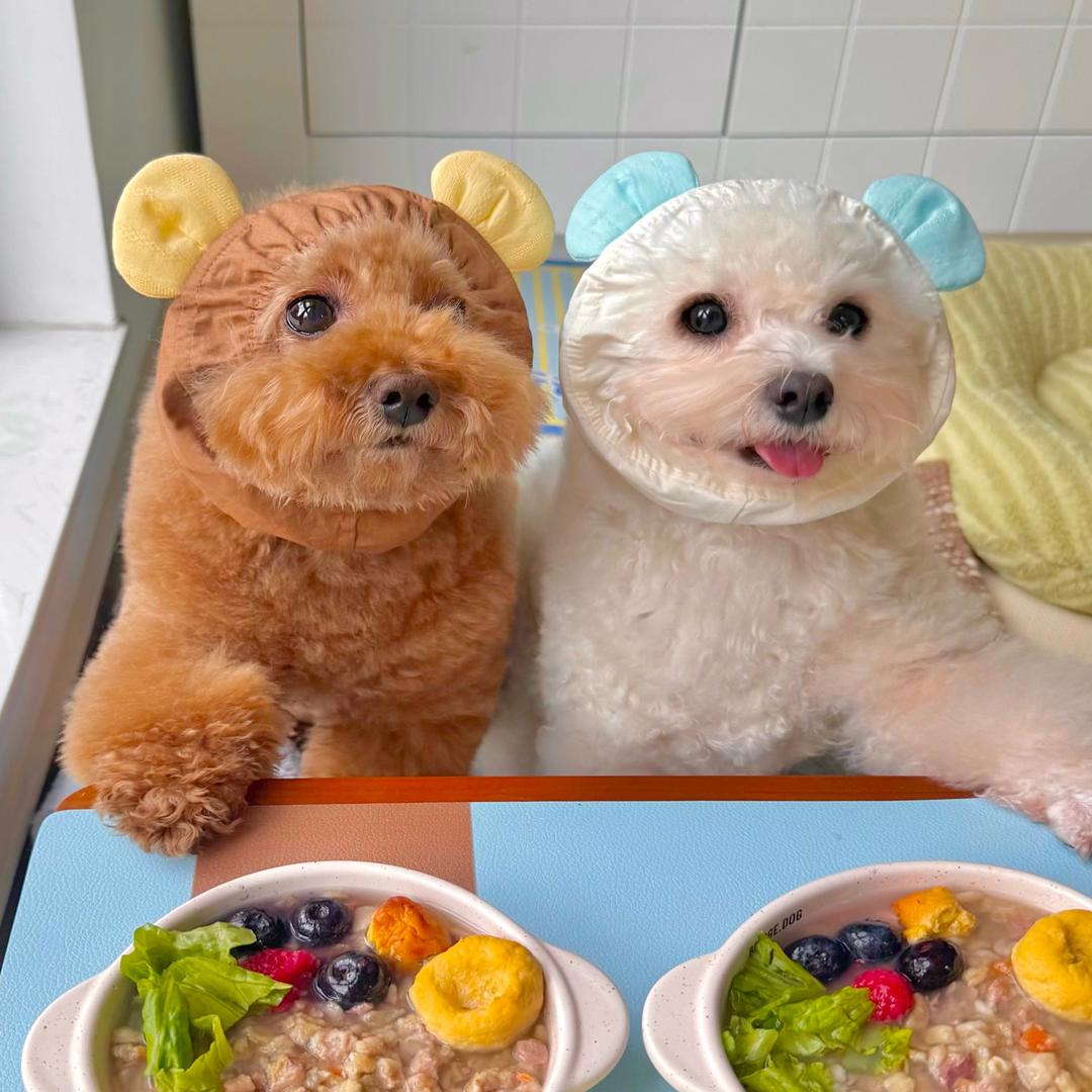 安静的布丁妹妹@抖音