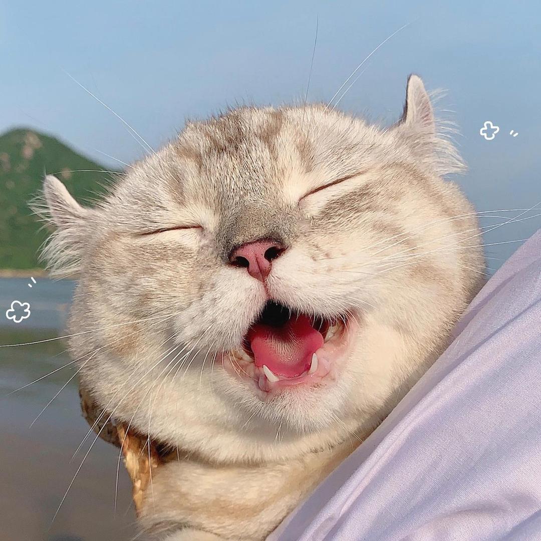 开心超人🦸‍♂️