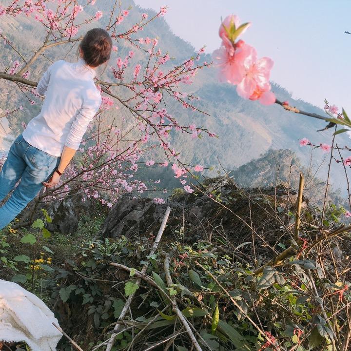 谢谢～国内散杂超大件，集卡、危险品运输