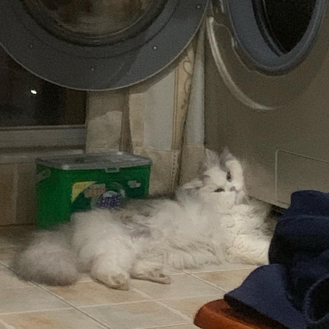 钱从四面八方来