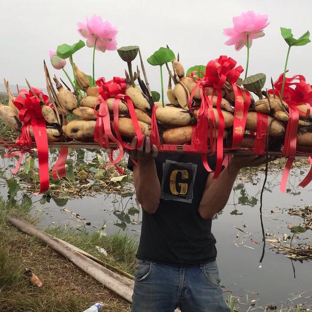 大海莲菜婚庆喜莲