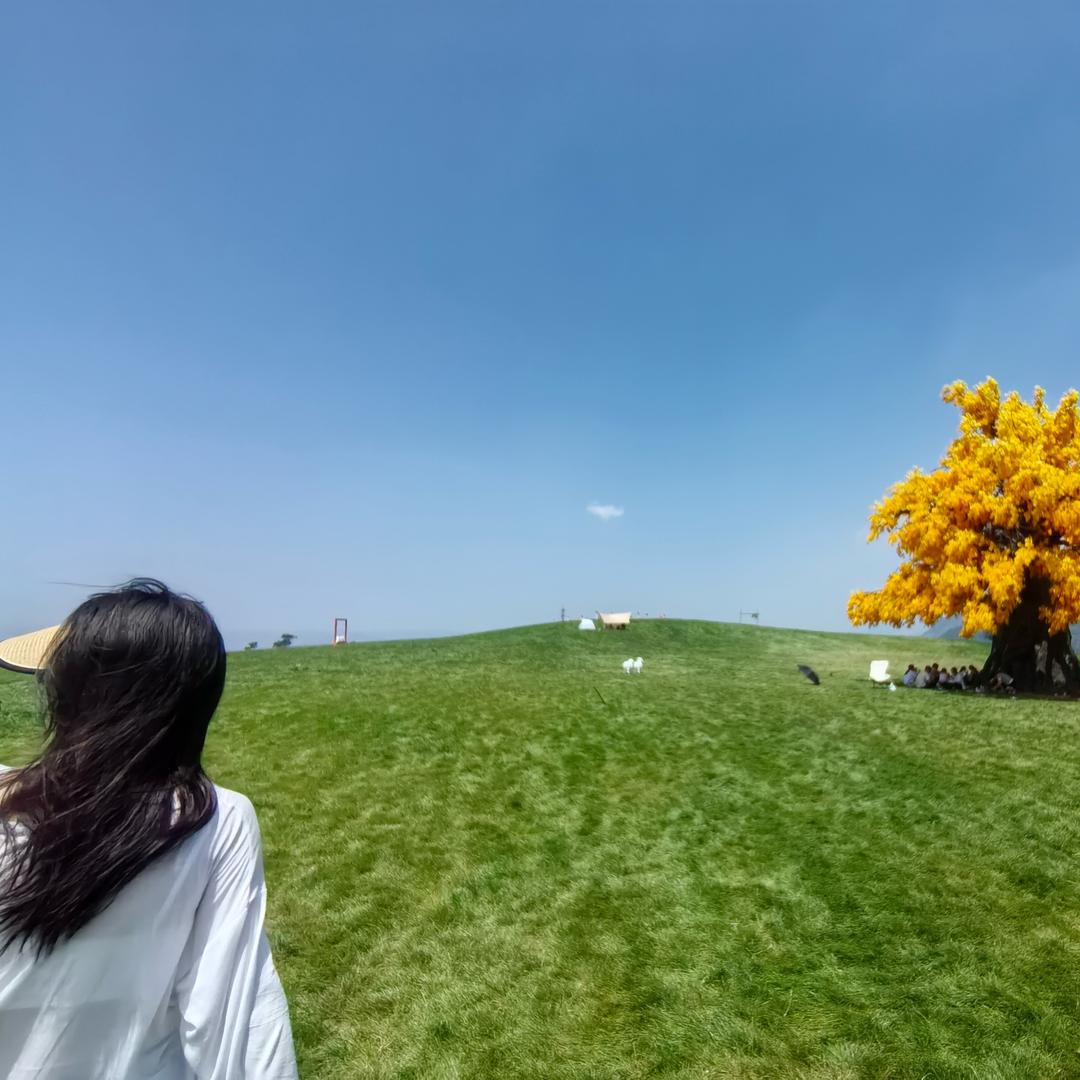 小马