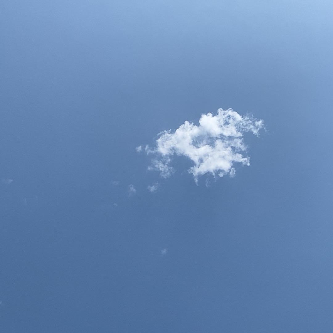 欣