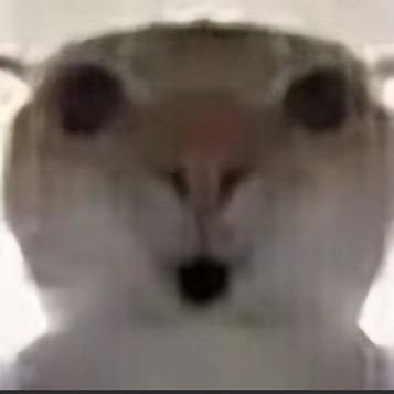44