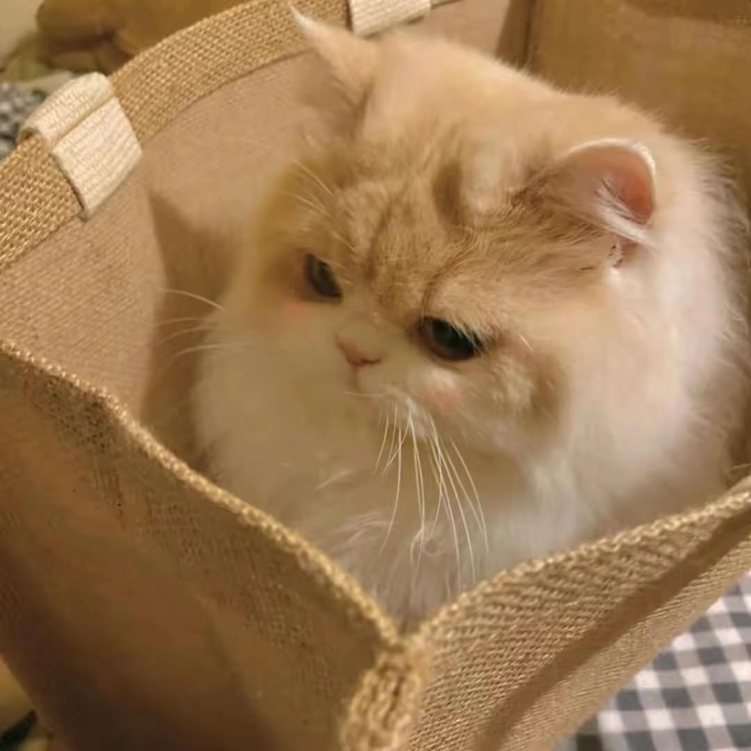 时衫