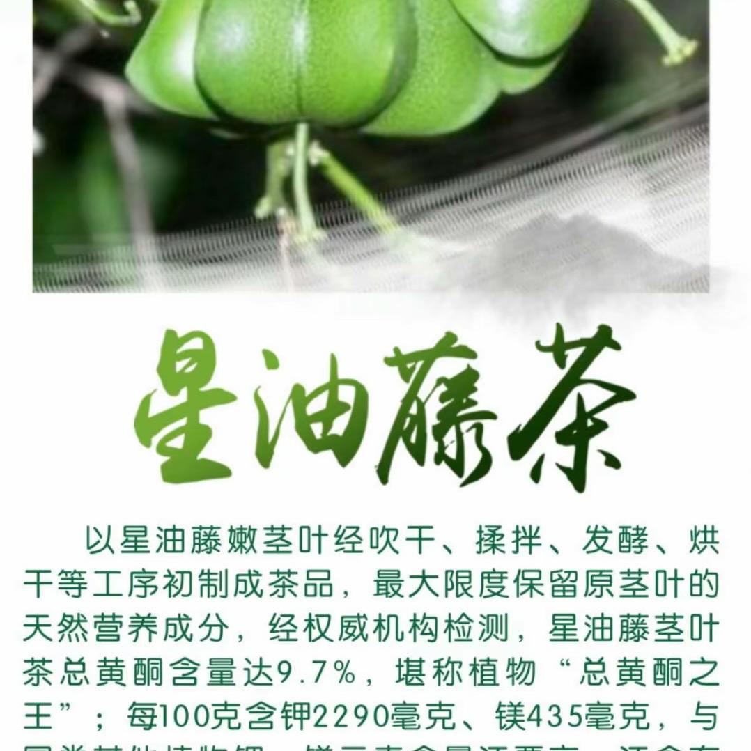 厂家直播间 顺通