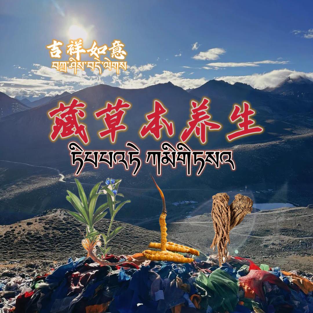 德吉：藏中草滋补