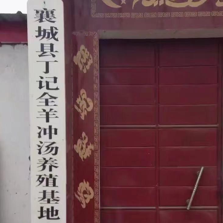 丁🐏记全羊冲汤