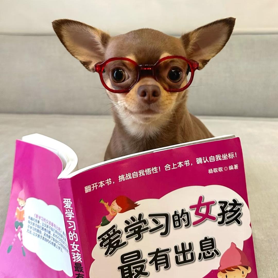 小米辣泡酱