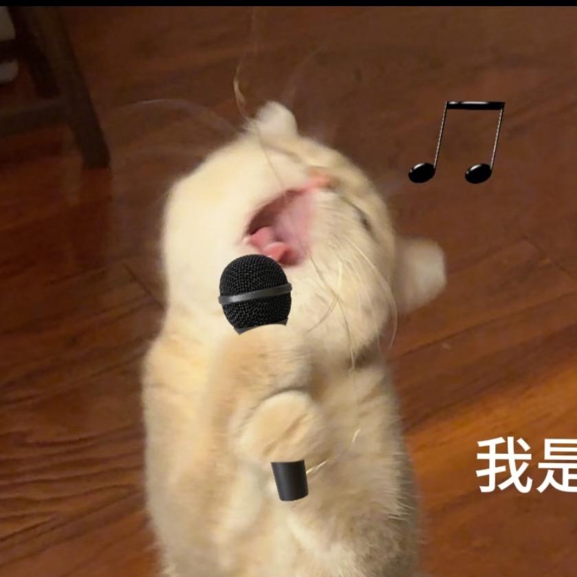 青争鱼