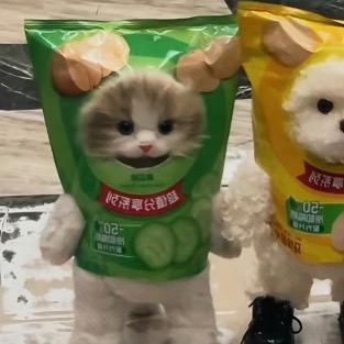 晕头小盈