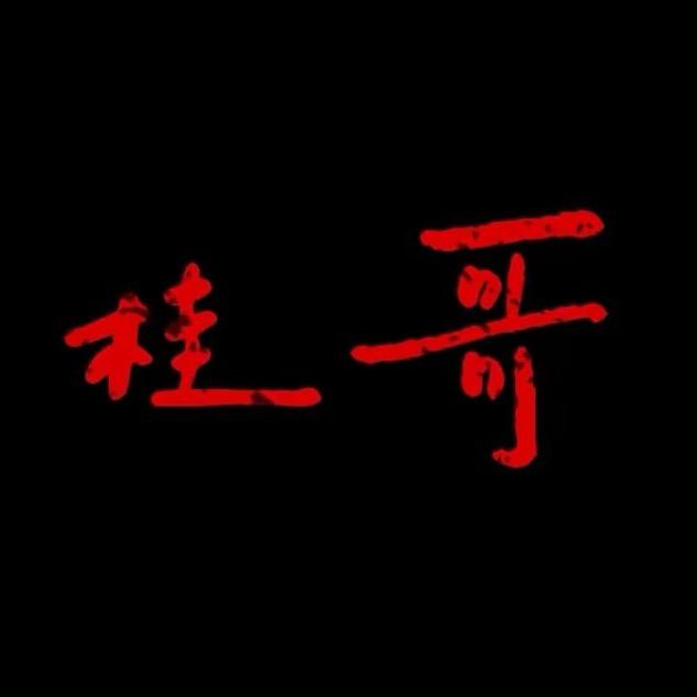 桂哥说驴