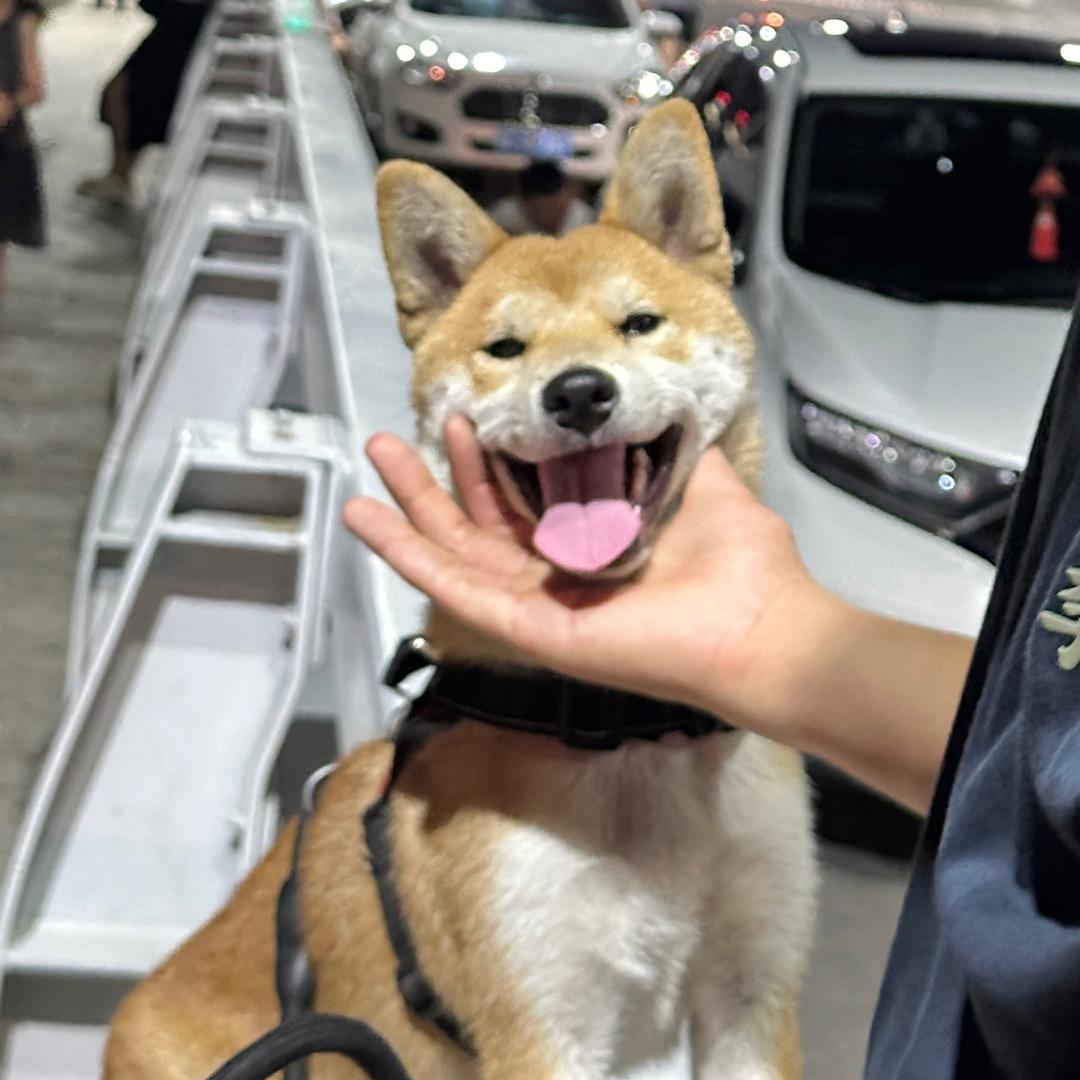 solo