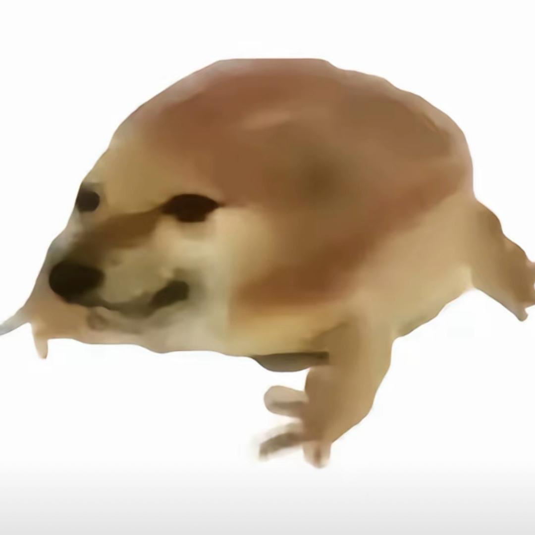 。。。。。。。。。。