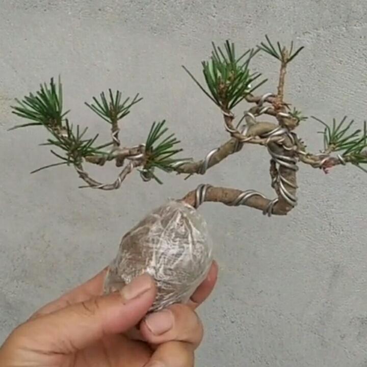 用户180000笑看风云