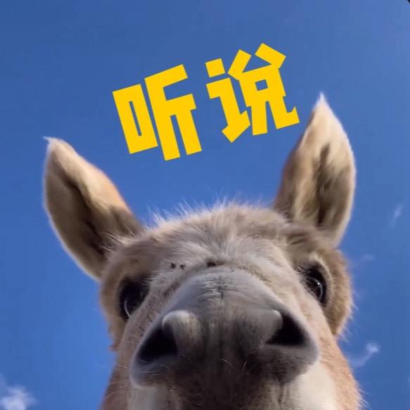 帆笙