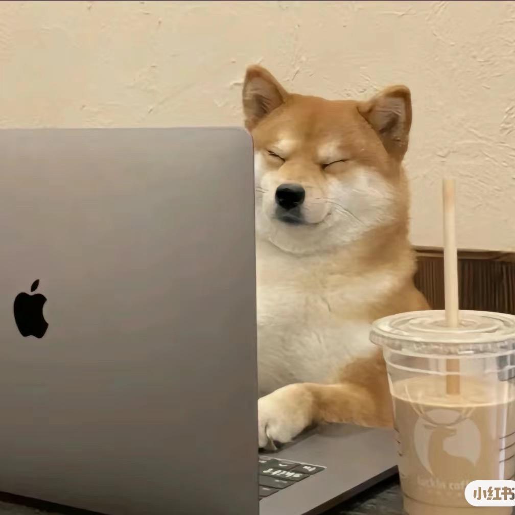 蝙蝠身上插鸡毛