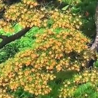 人生和处在相逢