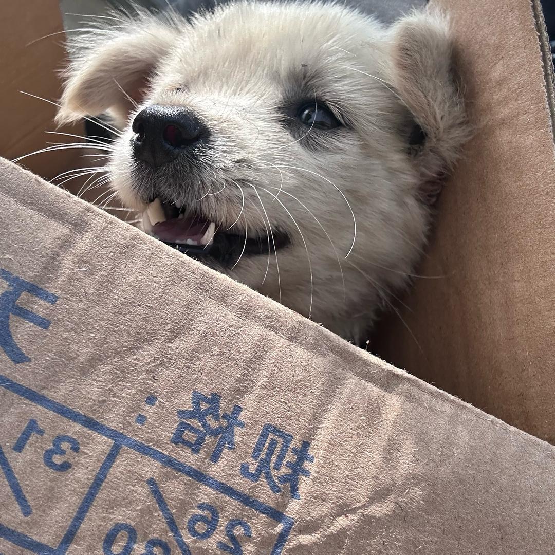 睡醒发现裤衩被偷