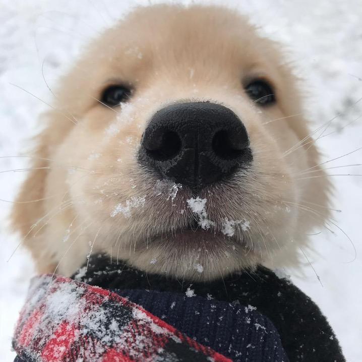 @҈҉҈҉҈҉҈҉҈҉呀呼嘿