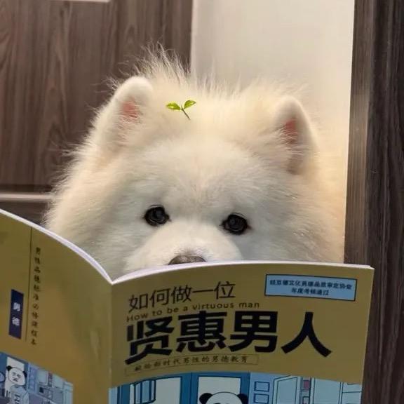 林。