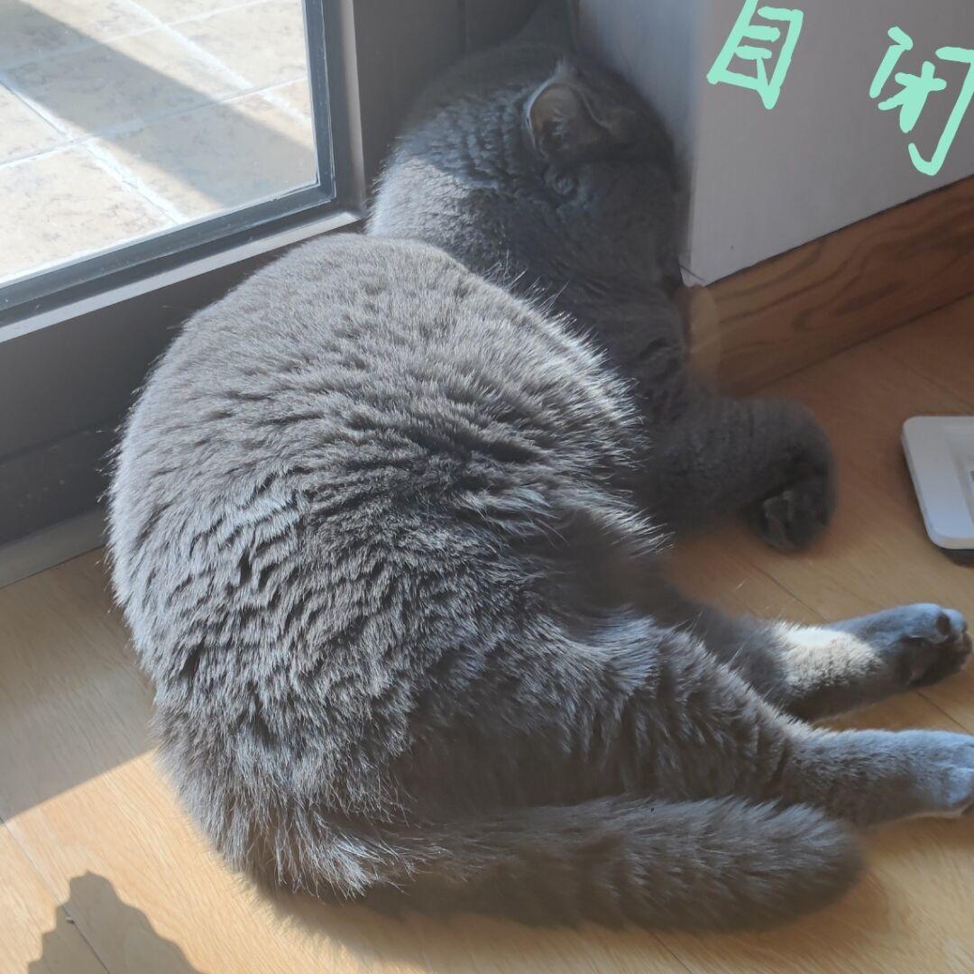 今天中午不吃饭