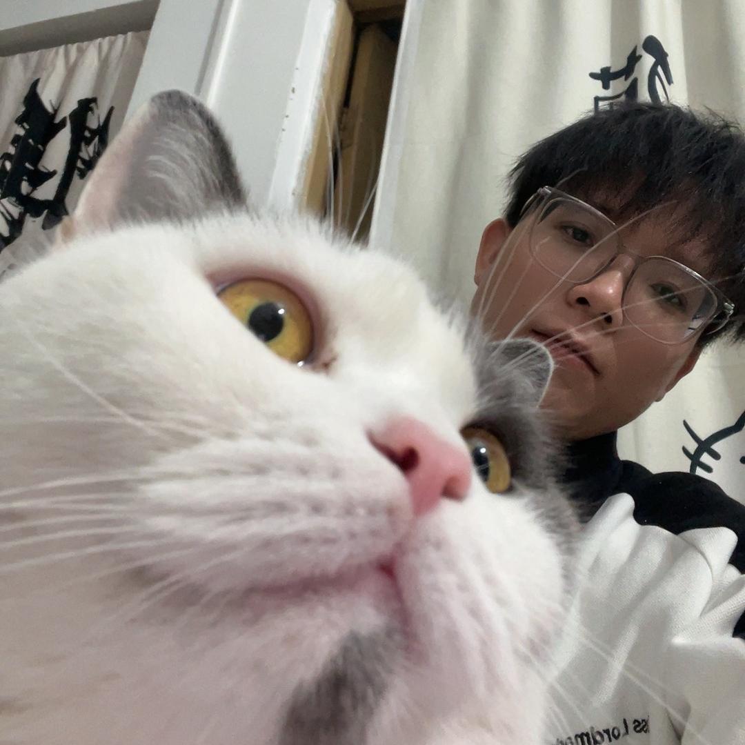 鱼总