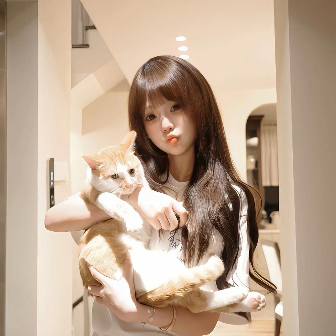 猫爪ฅ