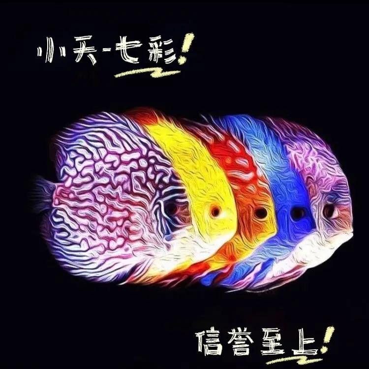 小天-七彩