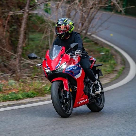 鲨鱼🌟辣椒🏍️