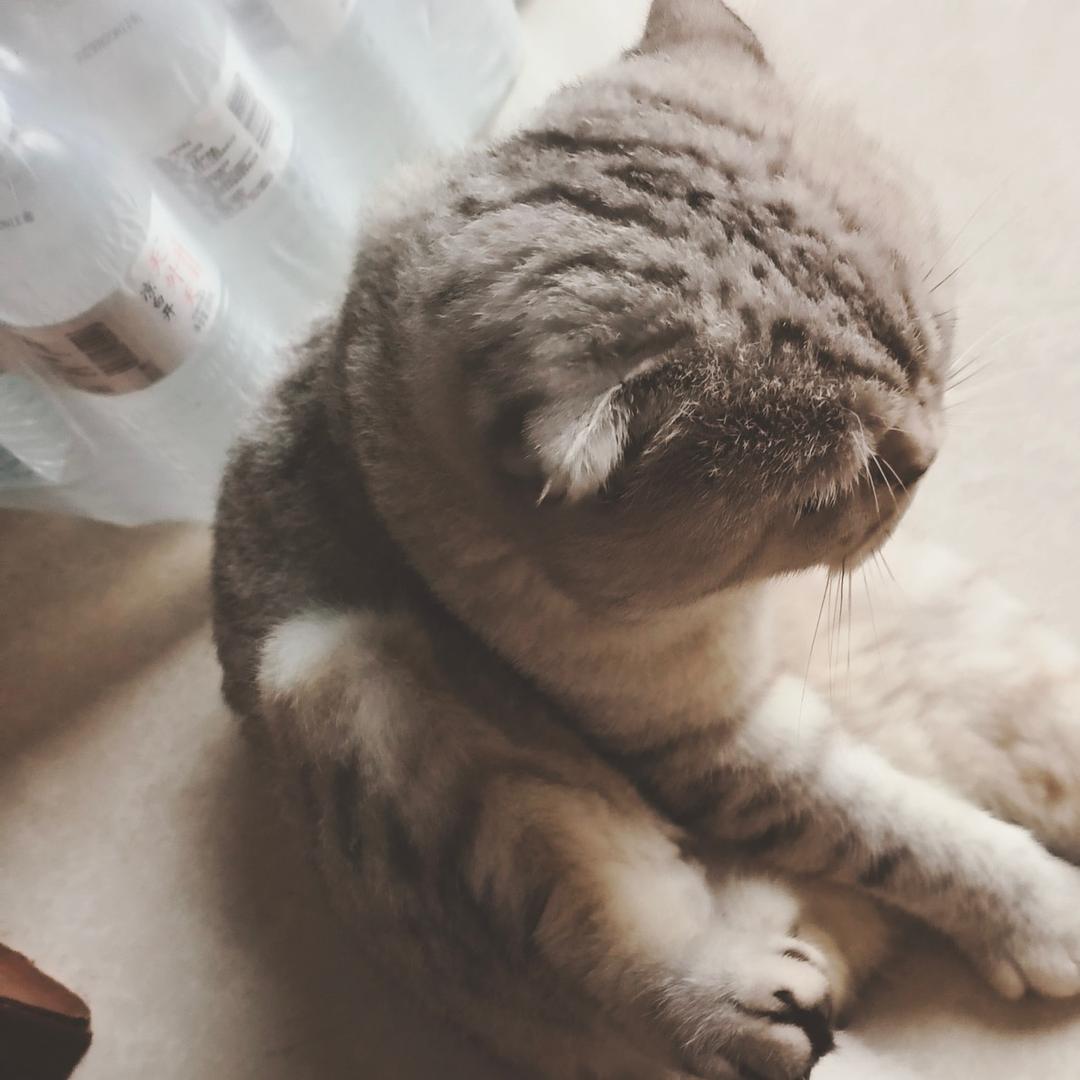 ༺༃暮༒ 色༃༻