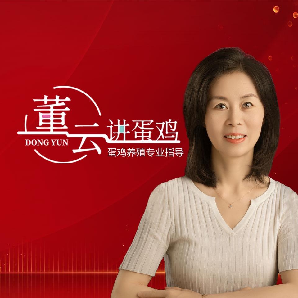 董云讲蛋鸡宋文燕