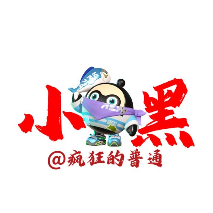 疯狂的普通