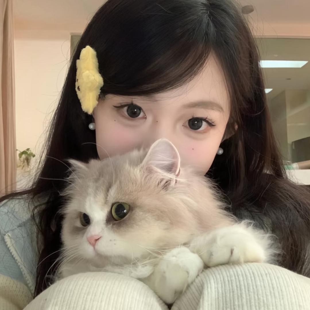 茶茶公主