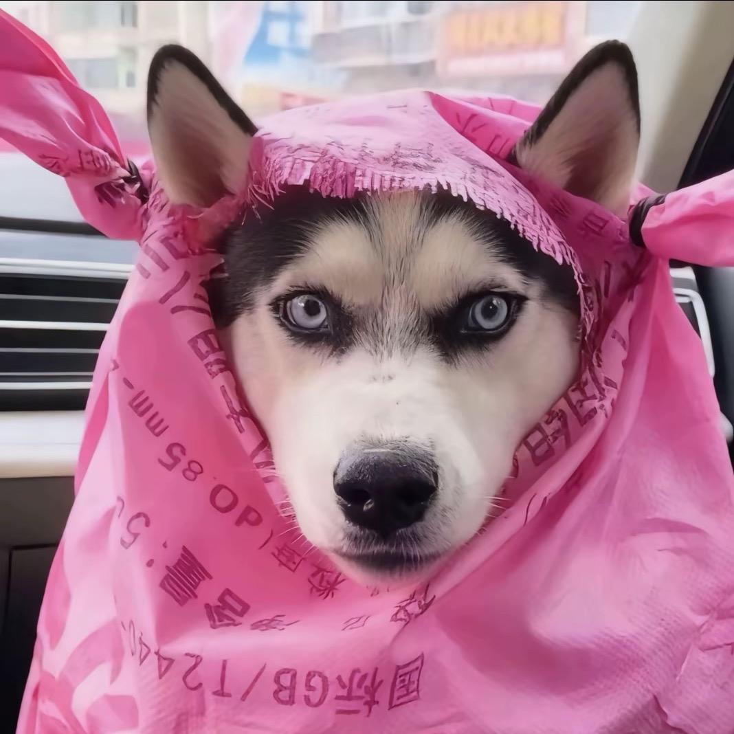 魏来可期ღ