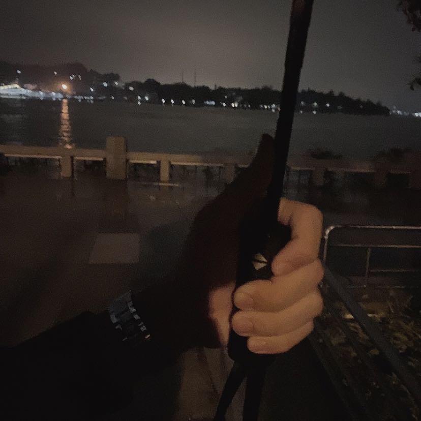 纯良《在潮州》