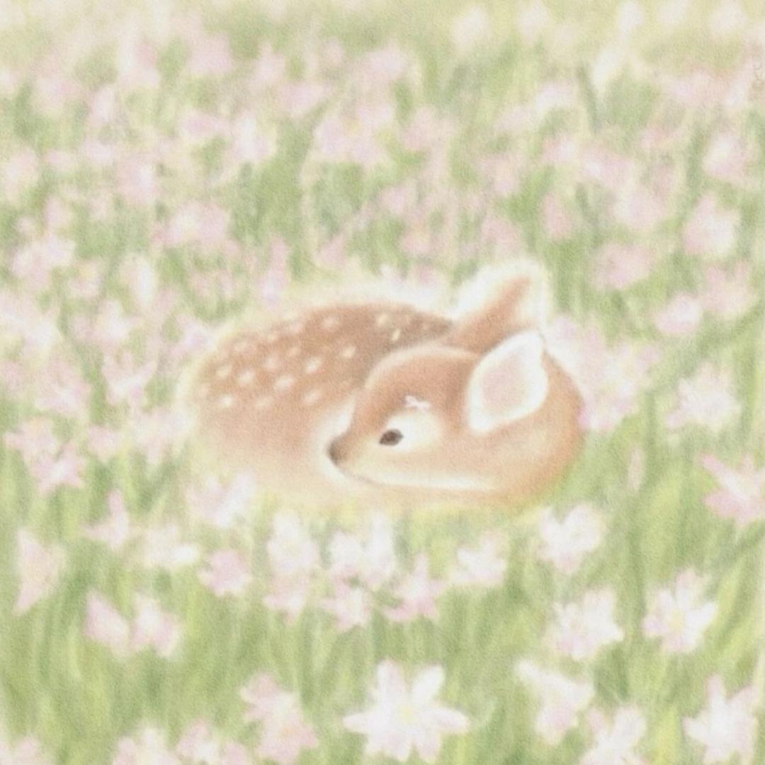 芬可小铺