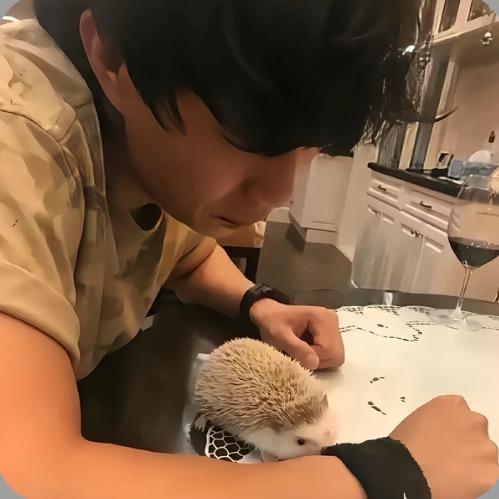 何乐而不为呢
