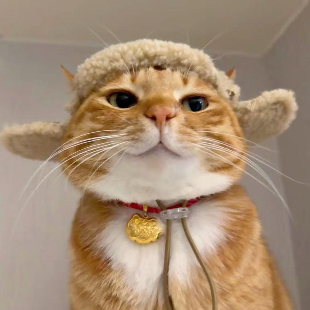 柚子兽进化🙀
