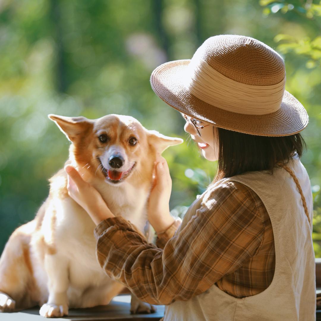 贝贝📸（可约拍）
