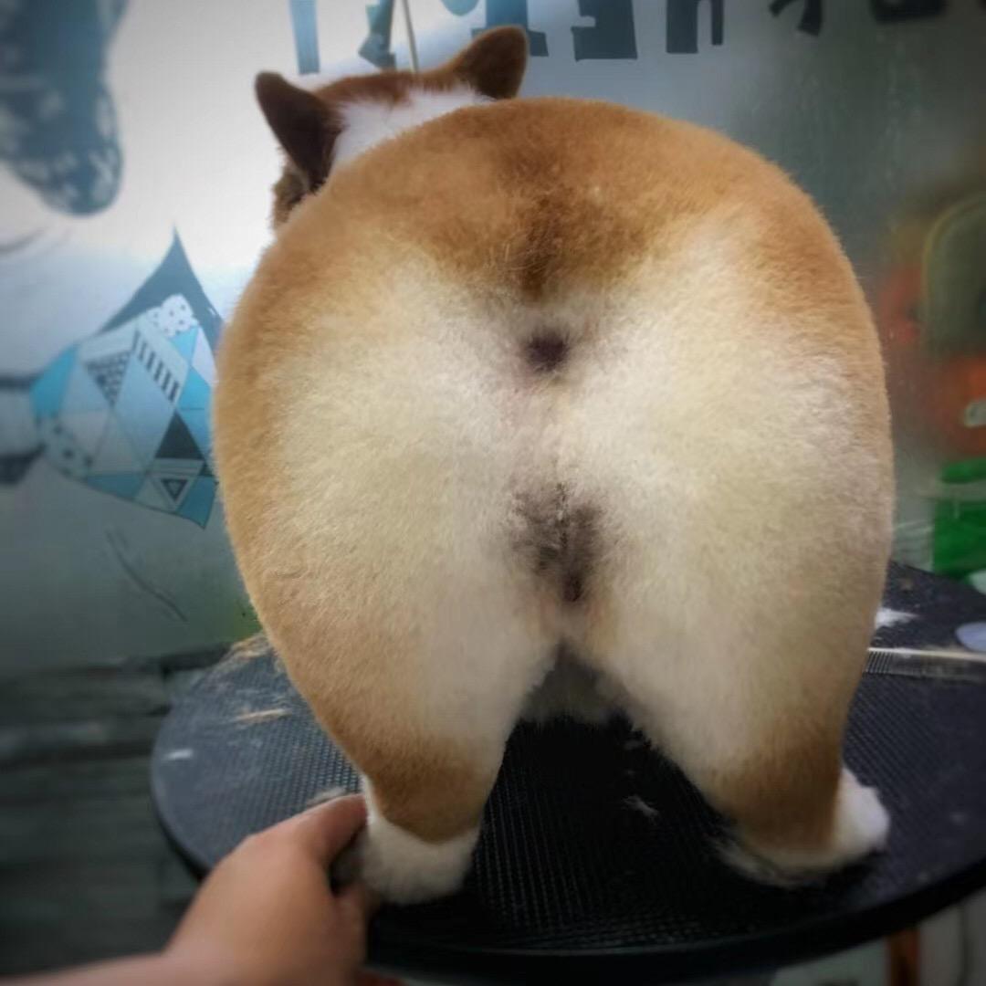 期待黎明的日出