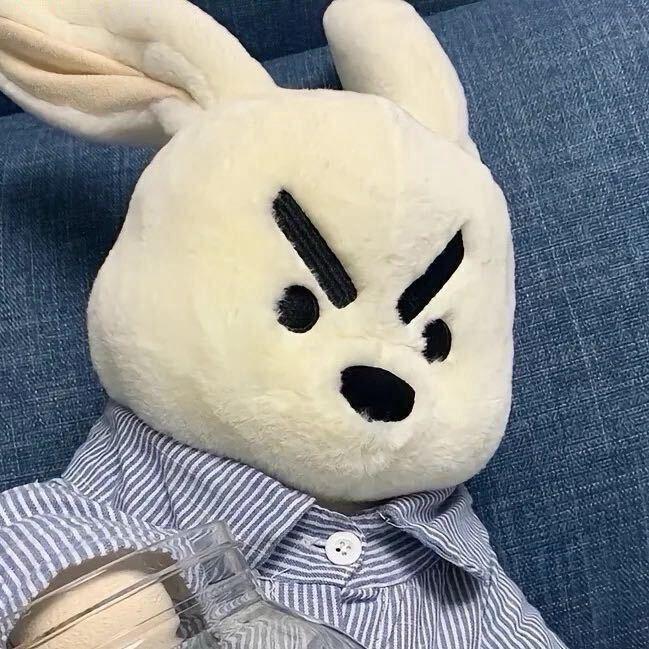🧸          .