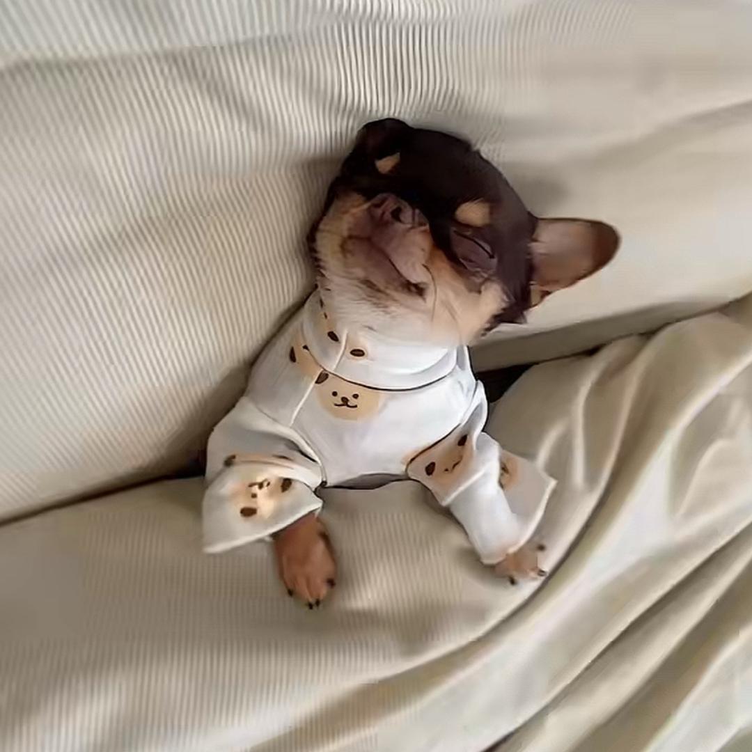 你都如何回蚁窝🦦