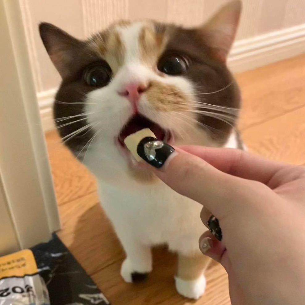 灿z